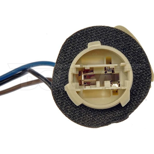 Motormite 3-Wire Rear Stop Tail Turn And Back-Up Socket
